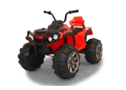 Allen Hindernissen gewachsen mit dem Protector Quad