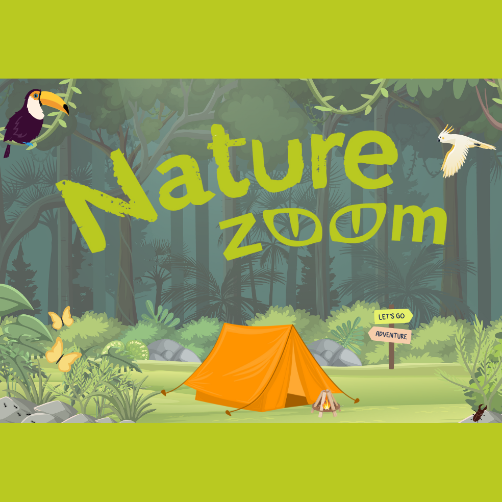 Natur bei Nacht mit Nature Zoom