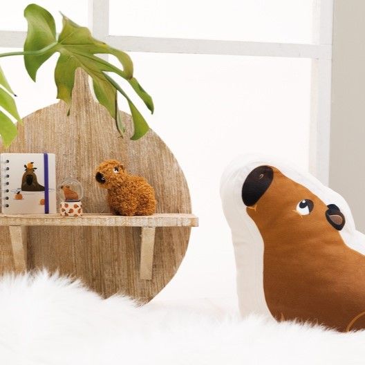 Tierischer Star auf Social Media und im Plüschregal