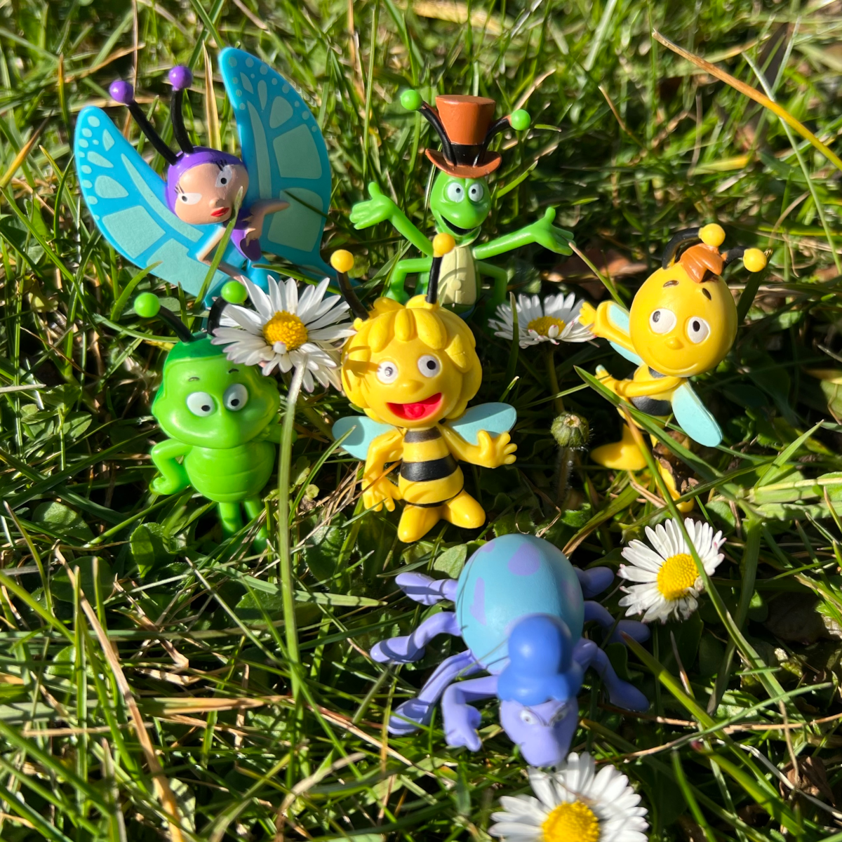 Mitreißen statt Mahnen: Umweltschutz auf Maja-Art