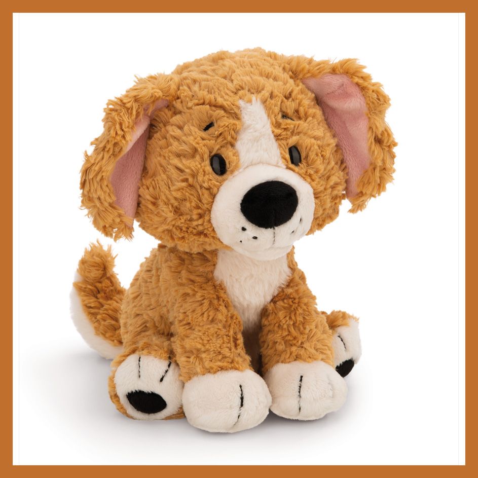 Die besten Freunde des Menschen