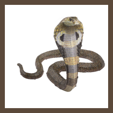 Entdecke die faszinierende Welt von Metal Earth!