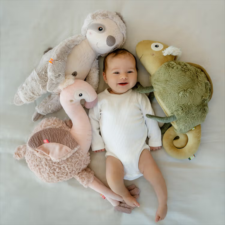 Neue Einschlafhilfen von Fehn jetzt beim Fachhandel erhältlich!