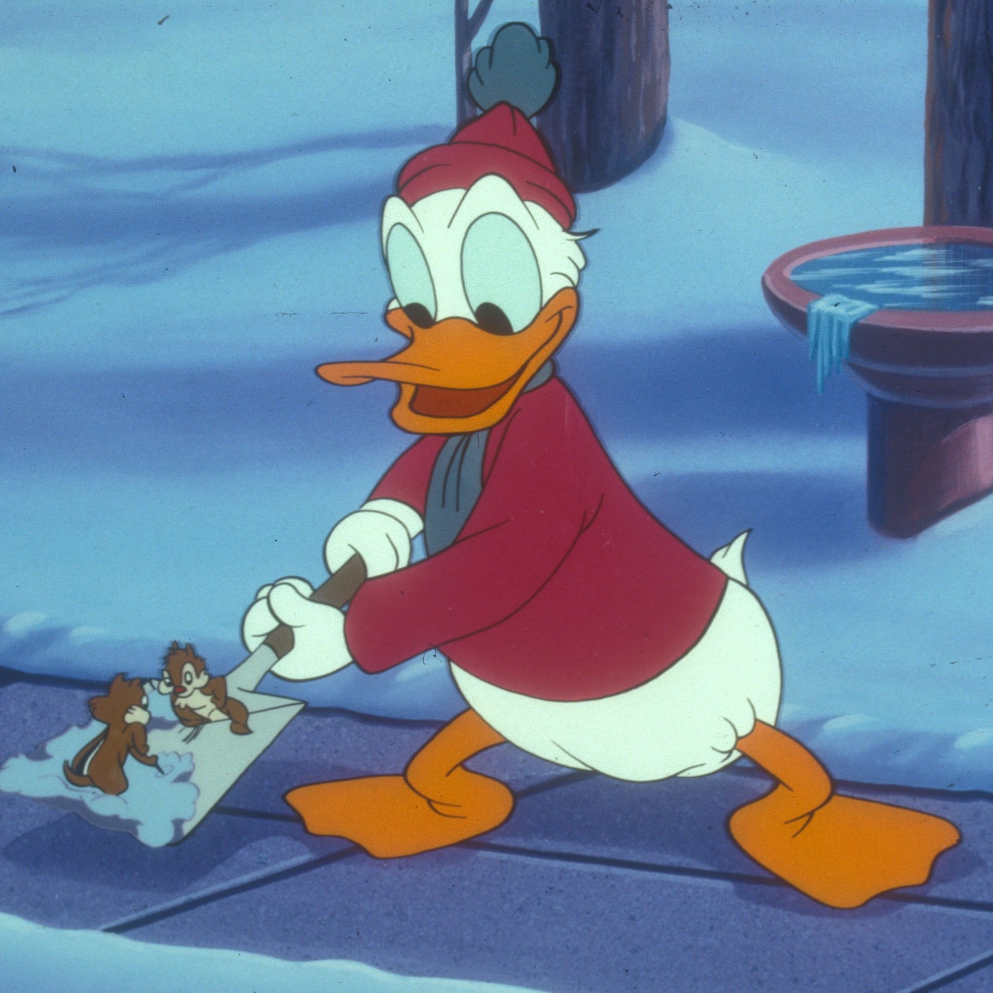 HAPPY BIRTHDAY, DONALD! Disney feiert 90 Jahre Donald Duck