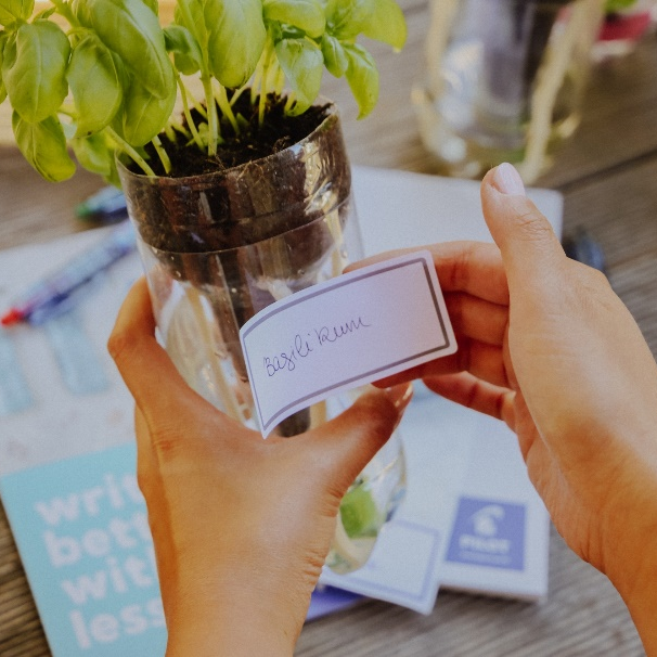 Zum Tag der Umwelt mit dem B2P Gel gärtnern