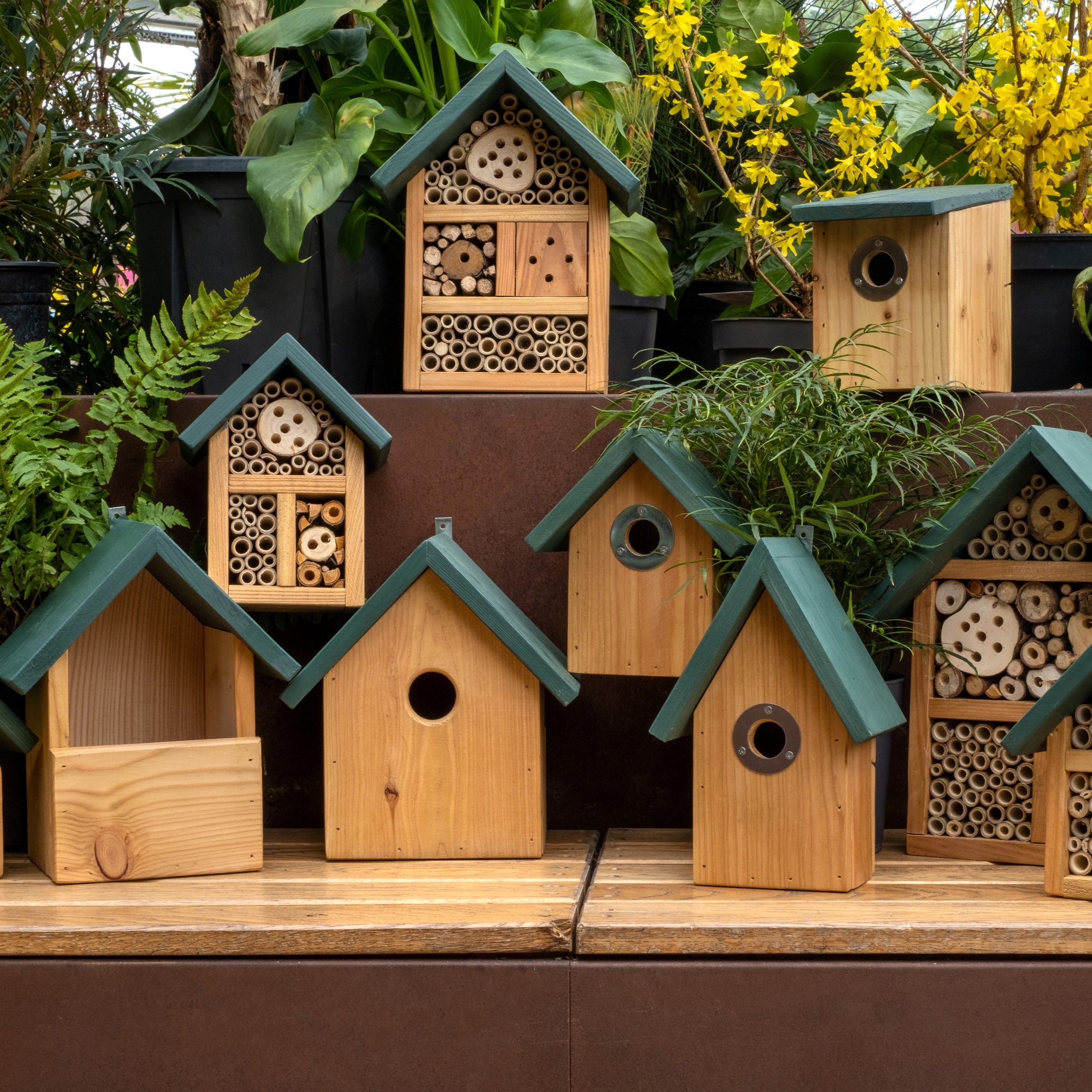 RHS and Wildlife Team Up to Create Supporting Nature Range