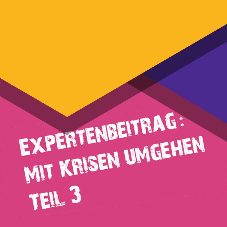 Krisenmanagement: Vorbereitung, Entstehung, Bewältigung (3)