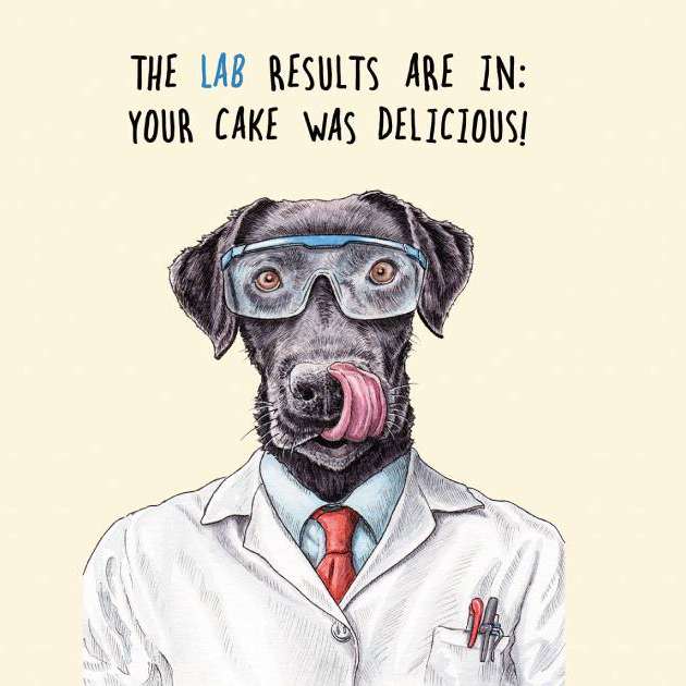 The London Studio Licenses Bewilderbeest